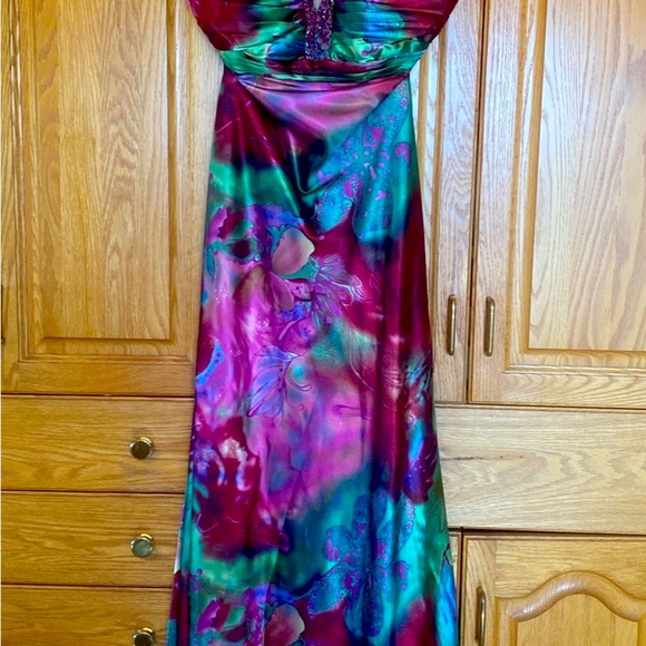 Beautiful  dress David’s Bridle - Picture 3 of 4